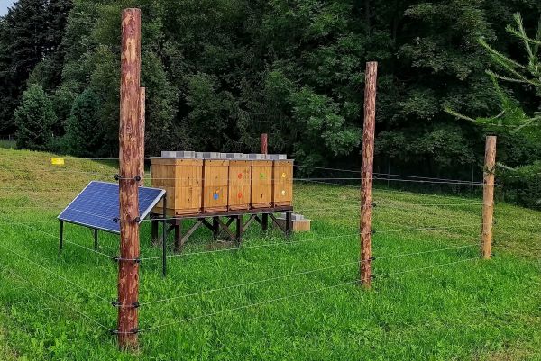 Chov včiel v &Scaron;t&aacute;tnych lesoch TANAP-u