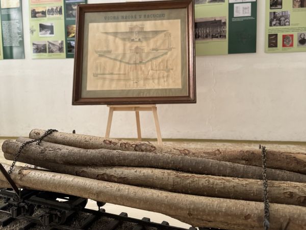 Časť v&yacute;stavy S dubovou ratolesťou na golieri 