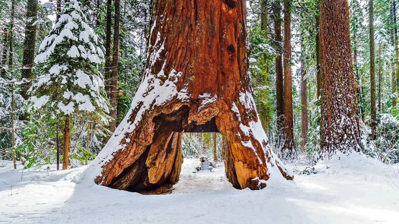 Zrútil sa živý pamätník