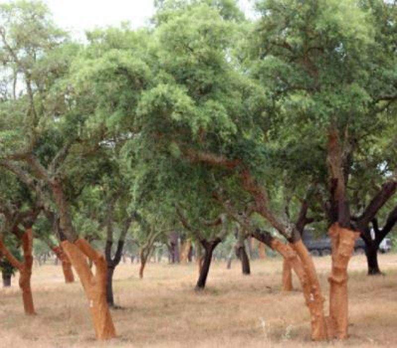 Korok do 3D tlačiarní