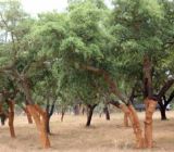 Korok do 3D tlačiarní