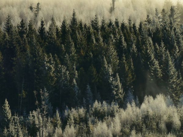 Ilustračné foto: Marek Pindroch