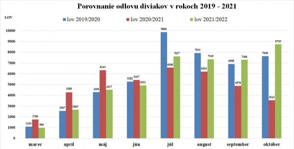 Porovnanie odlovu diviakov v rokoch 2019 - 2021