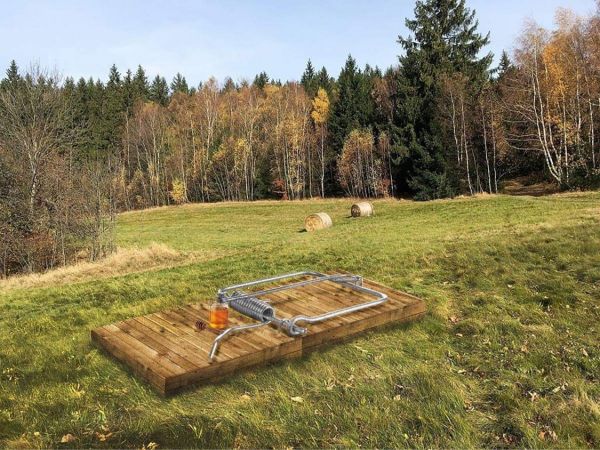 Par&oacute;dia ochran&aacute;rskeho pr&iacute;stupu - pasca na medveďa s medom 