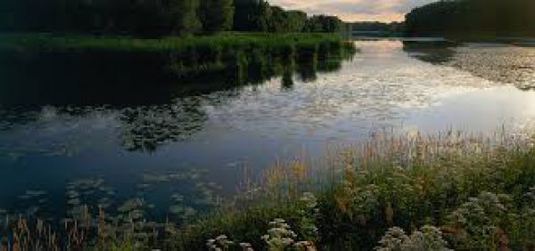 Ilustračn&eacute; foto