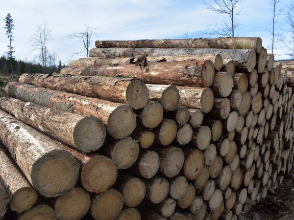 Ilustračné foto: Jozef Marko 