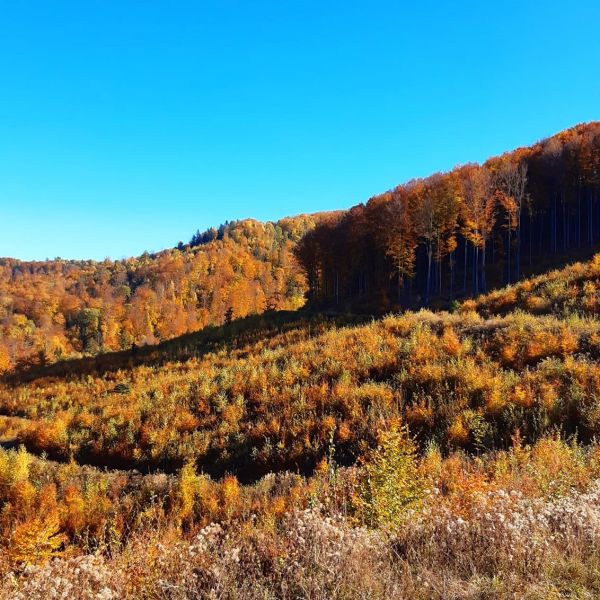 Foto k aktu&aacute;lnemu statusu Ing. Cyrila B&aacute;beľu ml. 