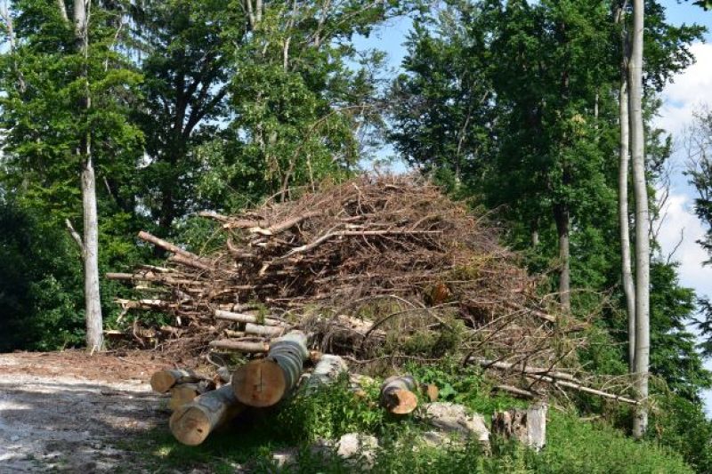 Ilustračné foto Jozef Marko