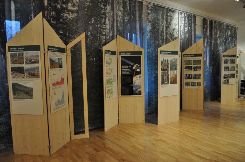 Rozpad smrečín v zrkadle vedy