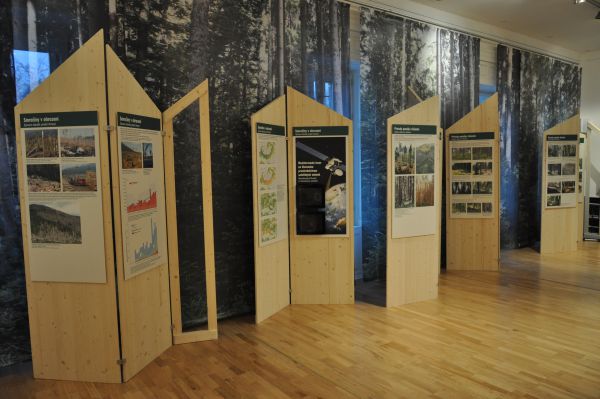 Rozpad smrečín v zrkadle vedy