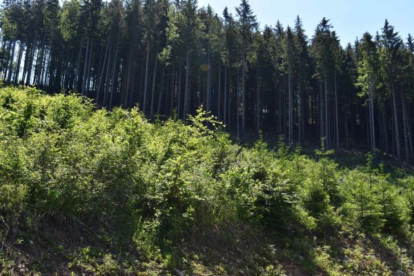 Ilustračné foto: Jozef Marko 