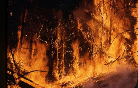 JANOVA LEHOTA: Požiar zachvátil štvorhektárové rúbanisko