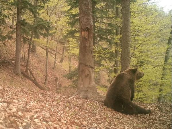Ilustračné foto: Ing. Ivan Švábik