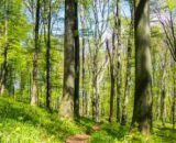 Ilustračn&eacute; foto it