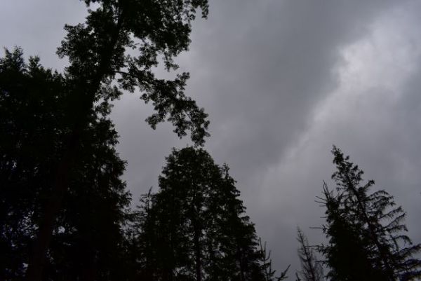 Ilustračné foto Jozef Marko