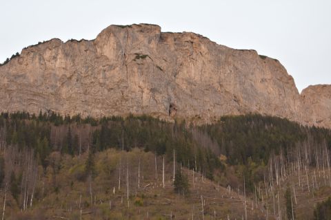 Vrch Muráň na Ochrannom obvode Tatranská Javorina
