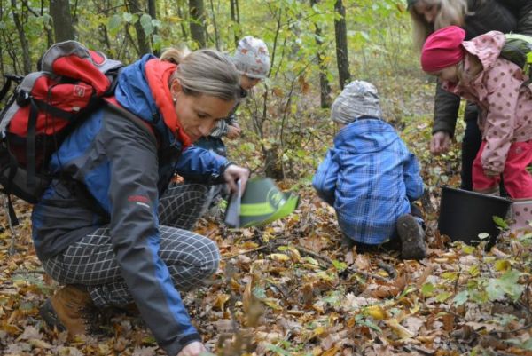 Ilustračn&eacute; foto: internetov&aacute; str&aacute;nka Lesy ČR 