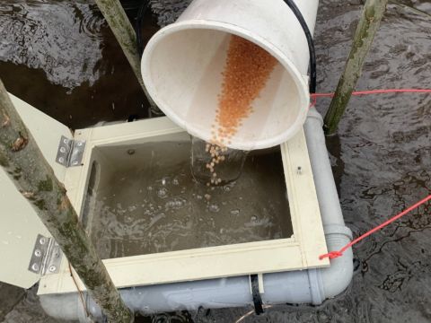 Zdroj: FB stránka Lesy ČR š. p. 