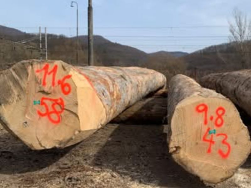 Zdroj: FB stránka LESY SR š. p. 