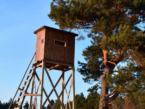 Ilustračné foto: Jozef Marko 