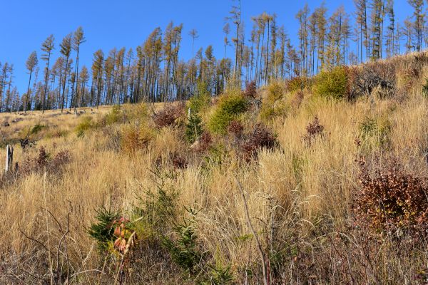 Ilustračn&eacute; foto Jozef Marko