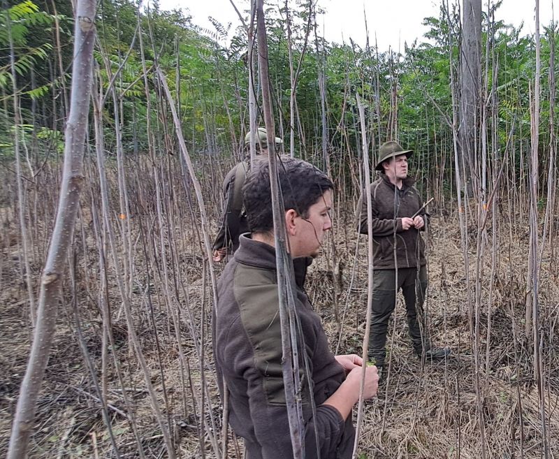 Zdroj: Internetová stránka Lesy ČR