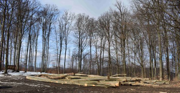 Ilustračn&eacute; foto: Jozef Marko 