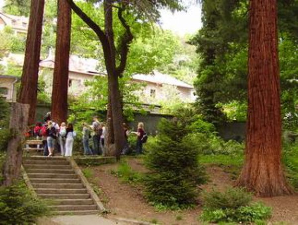 Lesn&iacute;cky deň bude aj v botanickej z&aacute;hrade