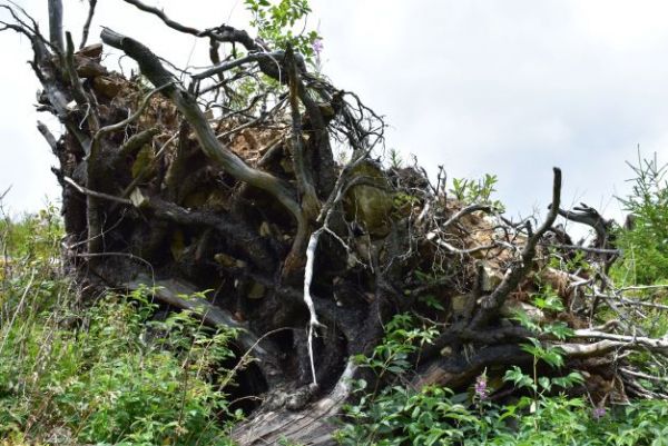 Ilustračn&eacute; foto Jozef Marko