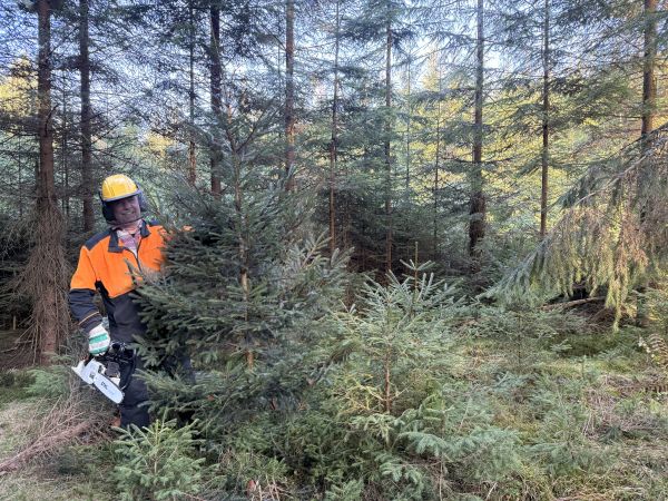 Zdroj: Internetová stránka LESY SR 