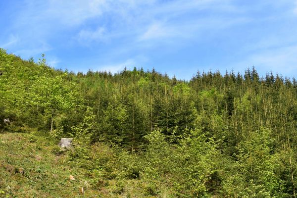 Ilustračné foto: Jozef Marko 