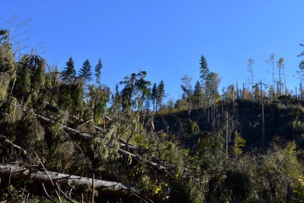 Ilustračn&eacute; foto: Jozef Marko 