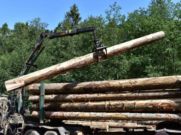 Ilustračné foto: Jozef Marko 