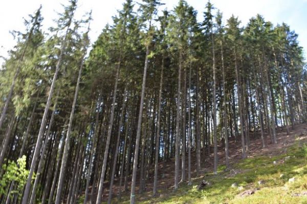 Ilustračn&eacute; foto Jozef Marko