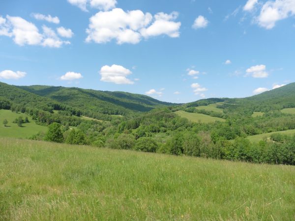 N&aacute;rodn&yacute; park Poloniny 