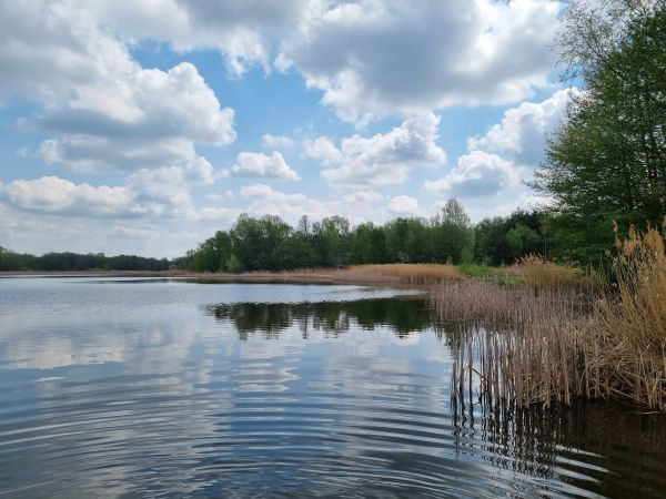 Ilustračné foto: Ing. Róbert Gombárik 