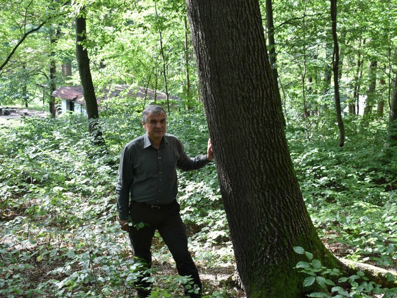 Ing. Pavel Miklu&scaron;