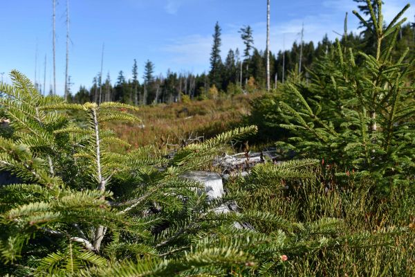 Ilustračné foto: Jozef Marko 