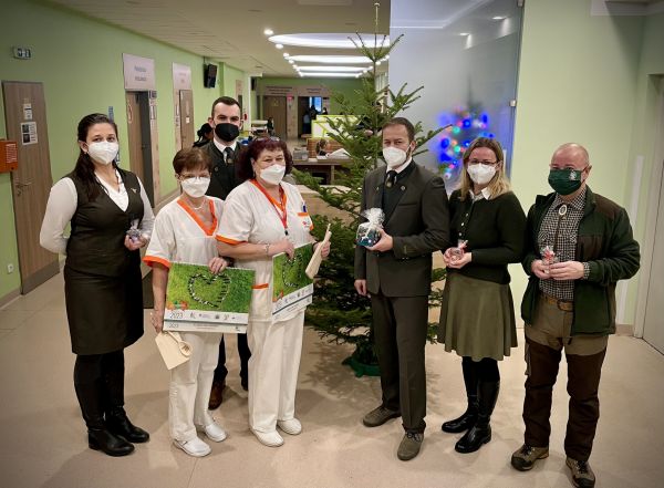 Jedlička Barborka od lesn&iacute;kov z N&aacute;rodn&eacute;ho lesn&iacute;ckeho centra a Mestsk&yacute;ch lesov Bansk&aacute; Bystrica v Detskej fakultnej nemocnici 