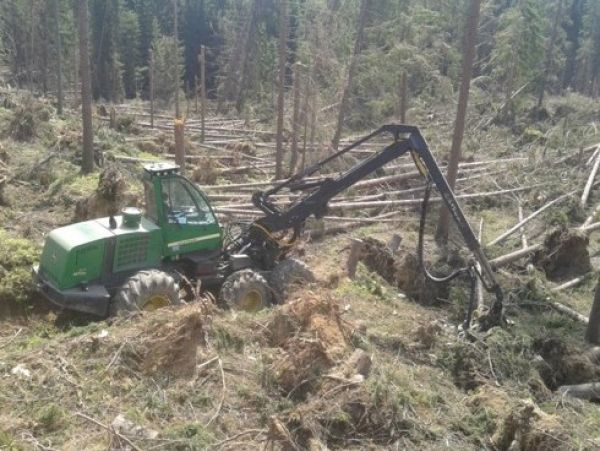 Ilustračné foto Ing. Miroslav Jurčo 