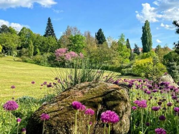 Botanická záhrada a arborétum MENDELU 
