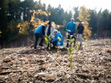 Deň obnovy lesa s novinármi 