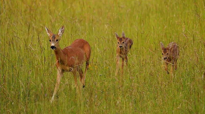 Ilustračné foto: FB profil Ing. Patrika Komoru 