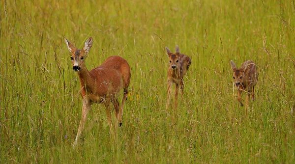 Ilustračné foto: FB profil Ing. Patrika Komoru 
