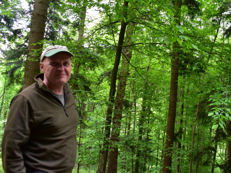 TÝŽDŇOVKA: Prvý, ktorý začal na sociálnych sieťach brániť lesníctvo hovorí, že lesníci pracujú „pod prokurátorom.“ Akú zodpovednosť nesú tí, ktorí na nich útočia...?