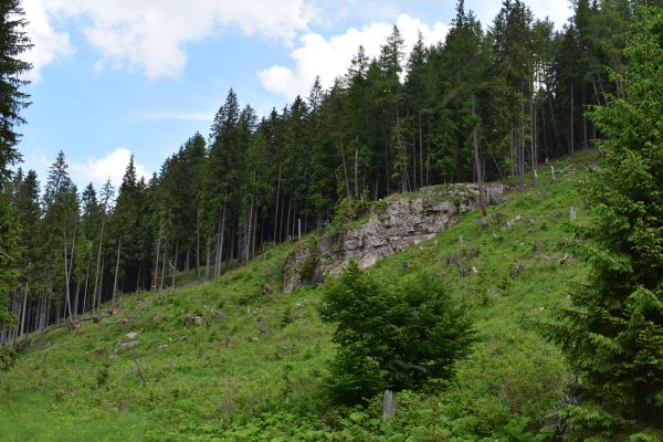 Ilustračn&eacute; foto Jozef Marko