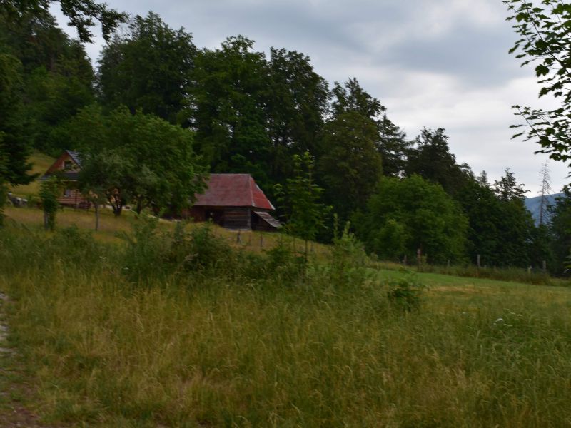 Ilustračn&eacute; foto: Jozef Marko 