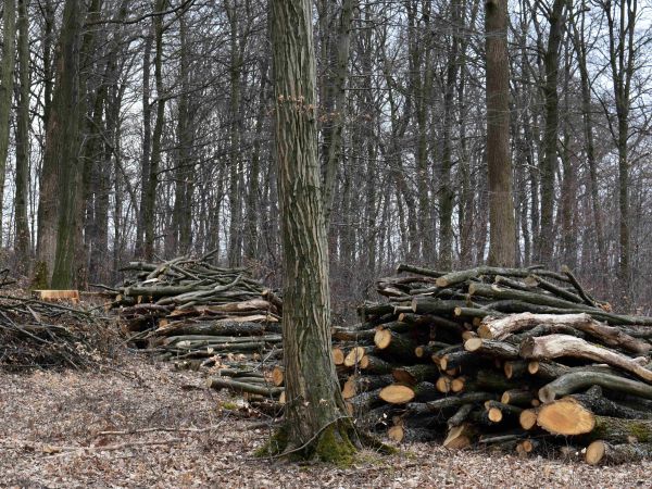 Ilustračné foto: Jozef Marko 