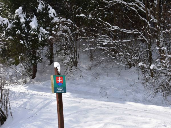 Ilustračné foto: Jozef Marko 