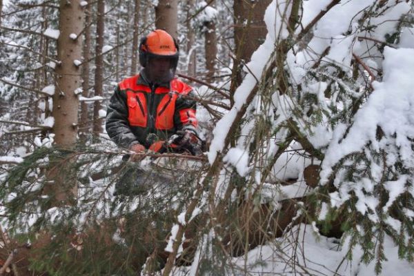 Práca v lese je mimoriadne fyzicky náročná 